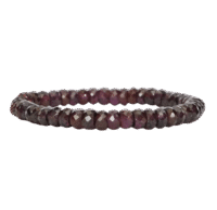 GARNET-BR004457