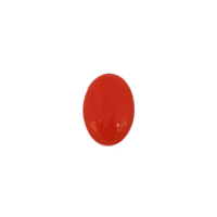 CL00217_CORAL- 3.47 Carats@ per Carat RM195
