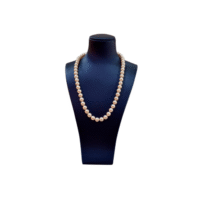 Natural Agoya Pearl
