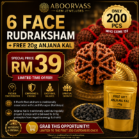 6 Mukhi Rudraksha Malaysia | FREE 20g Anjana Kal | RM39